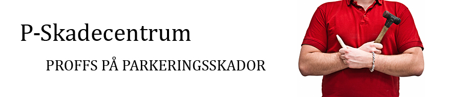 Logga för P-Skadecentrum